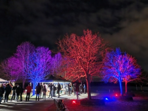 3 Starter*innen des SV Oberkollbach nahmen am Samstag beim HaWei 50 Ultralauf und dem 3. Nachtlauf „HaWei by night“ des LSG Weiler am Hardtsee teil.