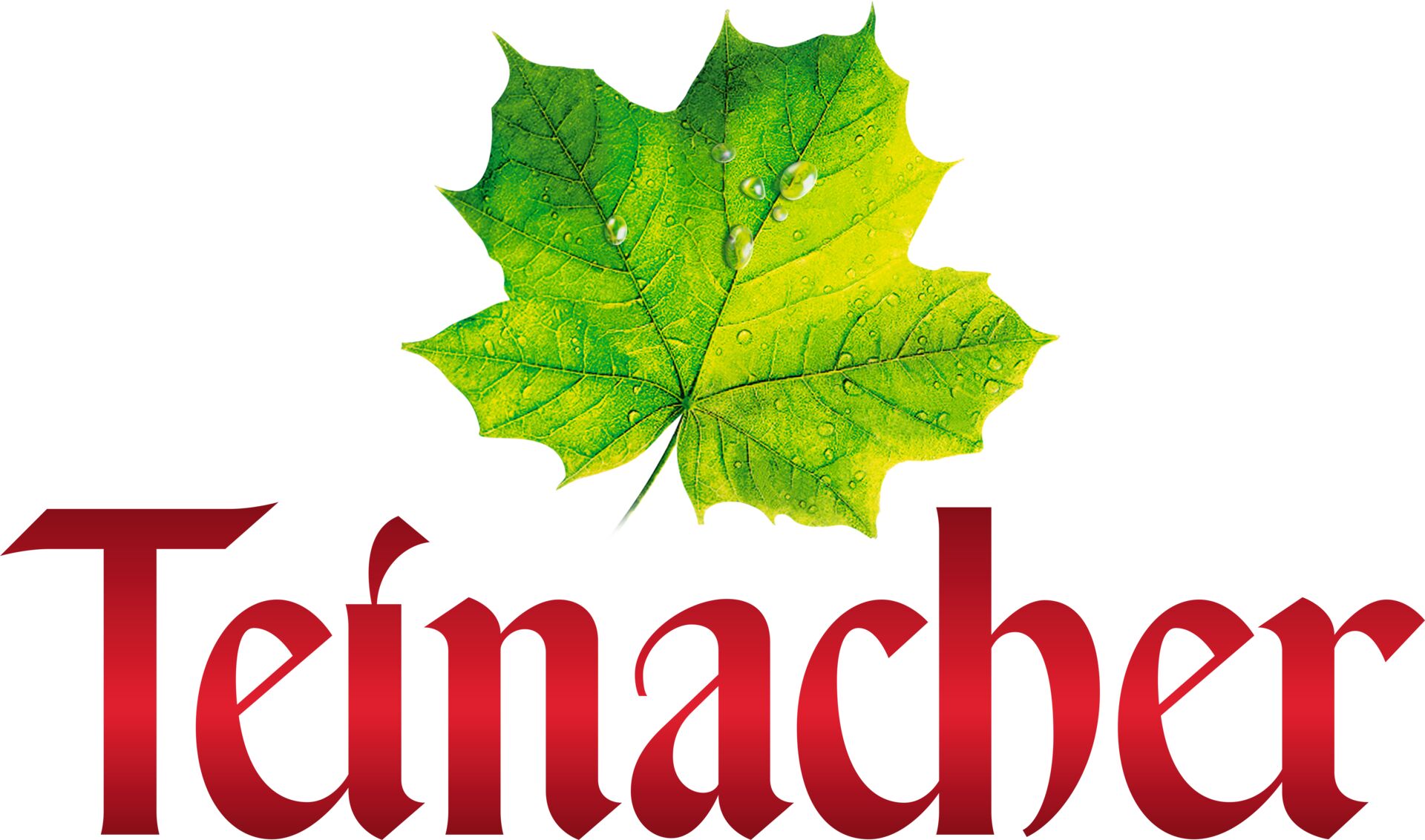 Teinacher