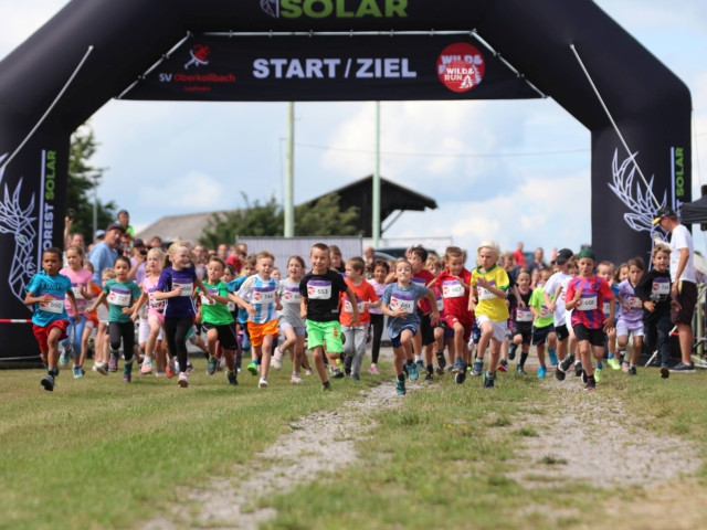 Begeisterung pur beim „Wild & Run“ – 325 Kinder starten bei den Grundschul- und Kinderläufen in Oberkollbach