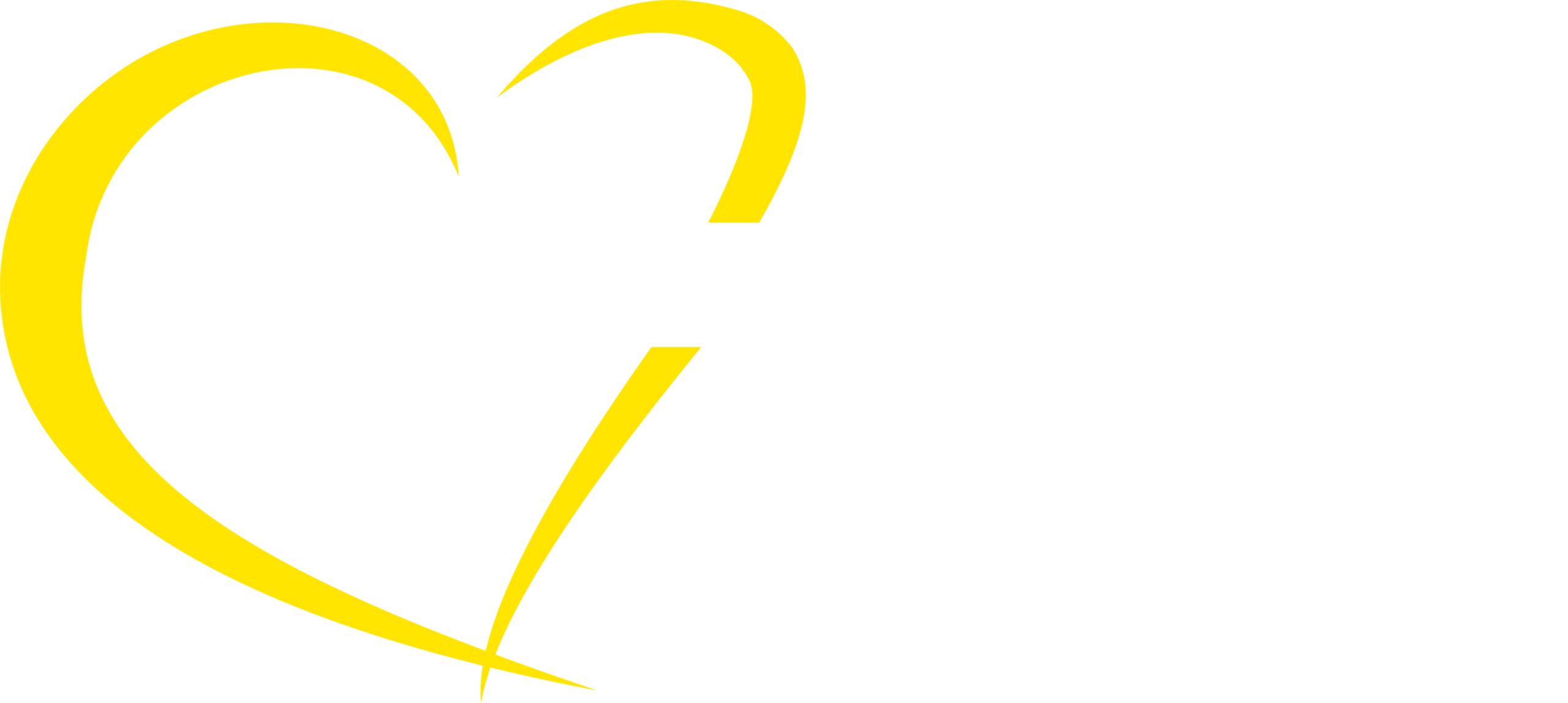 VGC Calw